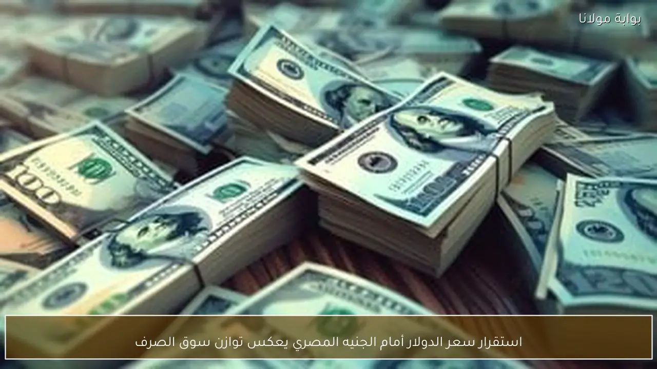 استقرار سعر الدولار أمام الجنيه المصري يعكس توازن سوق الصرف