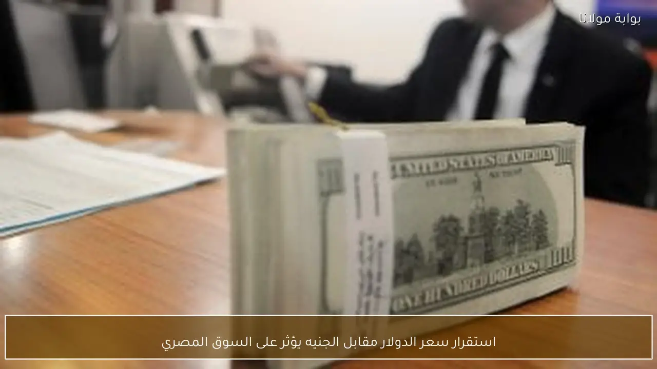 استقرار سعر الدولار مقابل الجنيه يؤثر على السوق المصري