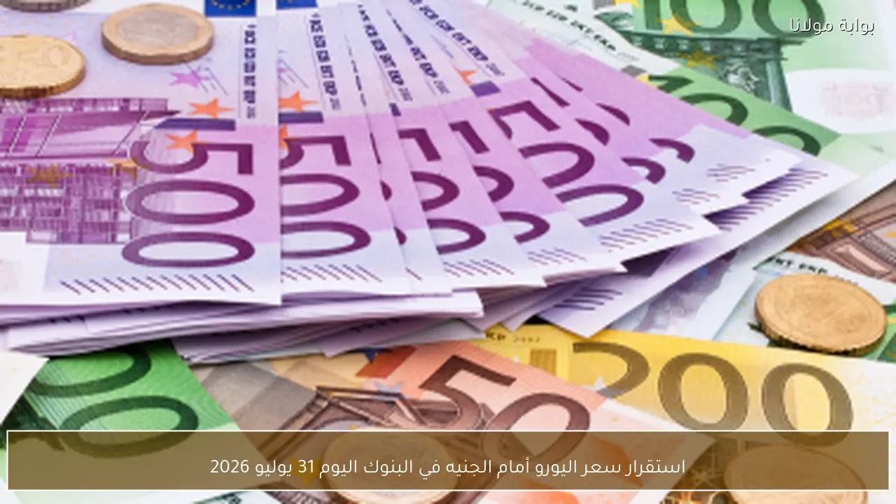 استقرار سعر اليورو أمام الجنيه في البنوك اليوم 31 يوليو 2026