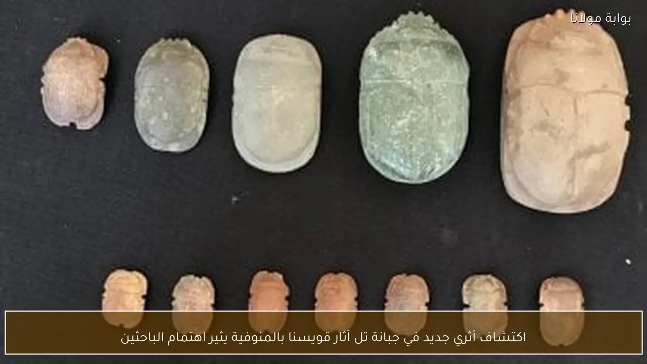 اكتشاف أثري جديد في جبانة تل آثار قويسنا بالمنوفية يثير اهتمام الباحثين
