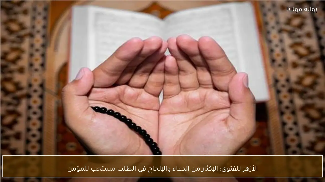 الأزهر للفتوى: الإكثار من الدعاء والإلحاح في الطلب مستحب للمؤمن