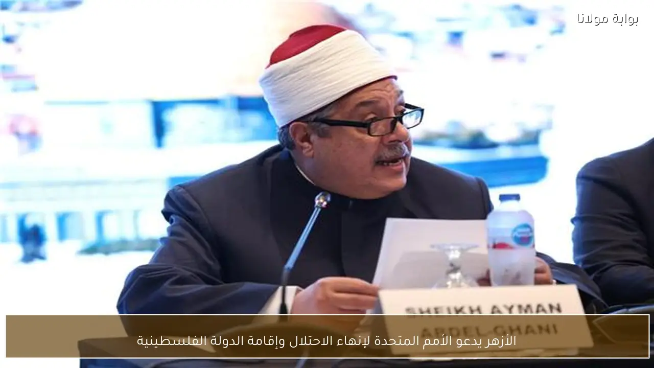 الأزهر يدعو الأمم المتحدة لإنهاء الاحتلال وإقامة الدولة الفلسطينية