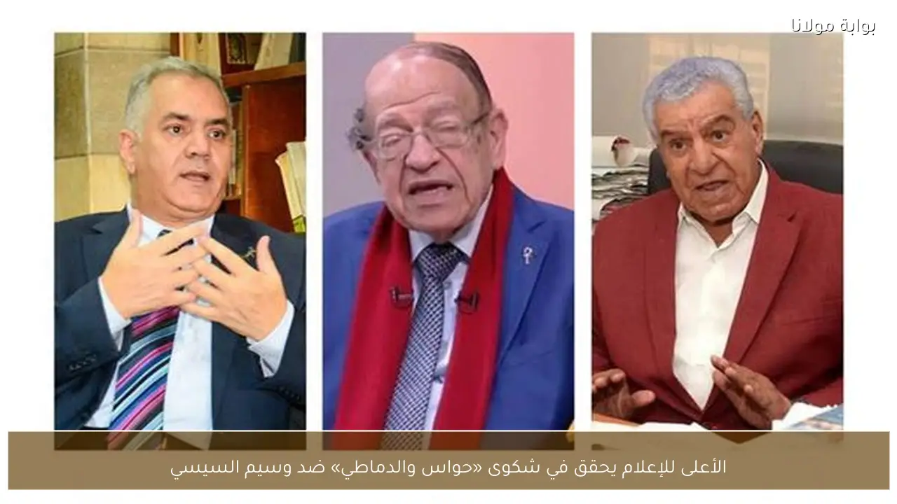الأعلى للإعلام يحقق في شكوى «حواس والدماطي» ضد وسيم السيسي