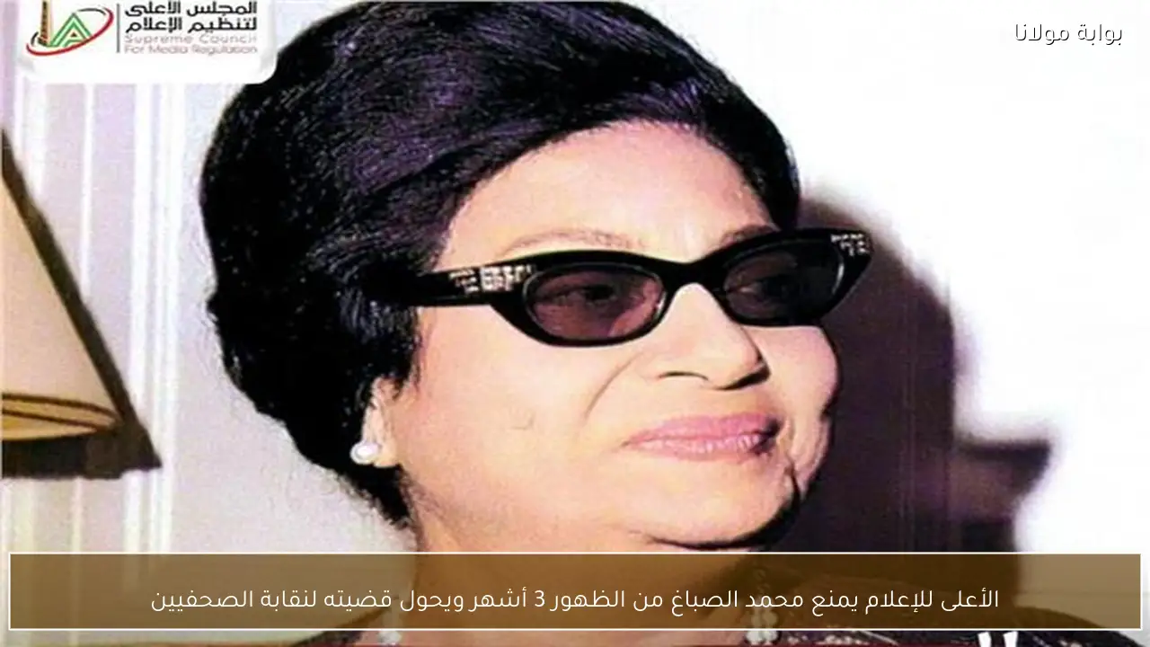 الأعلى للإعلام يمنع محمد الصباغ من الظهور 3 أشهر ويحول قضيته لنقابة الصحفيين
