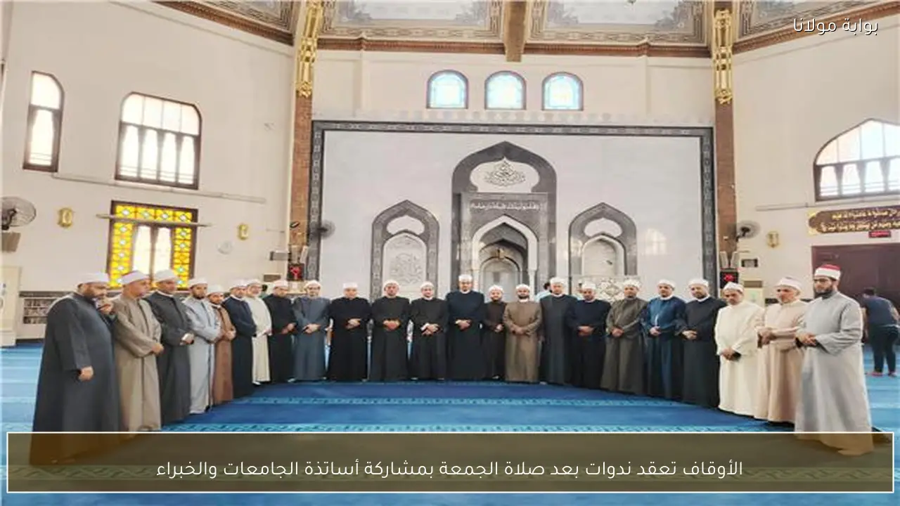 الأوقاف تعقد ندوات بعد صلاة الجمعة بمشاركة أساتذة الجامعات والخبراء
