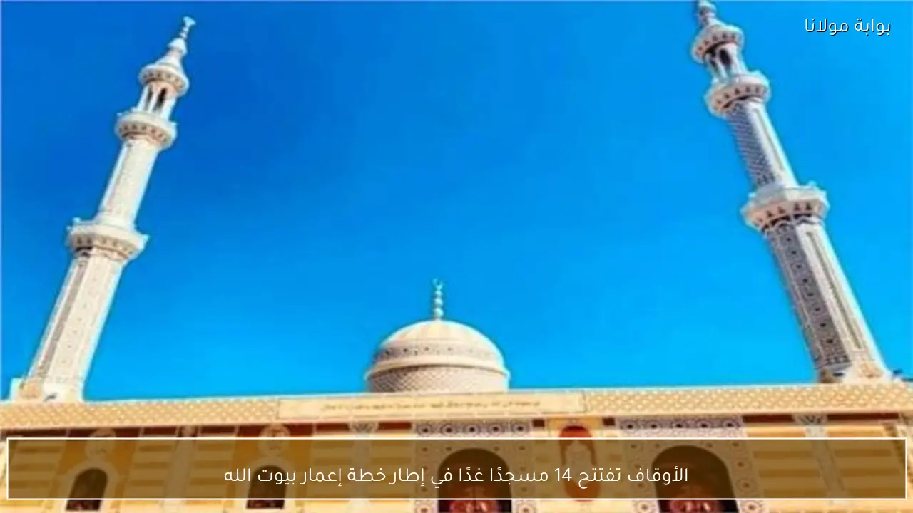 الأوقاف تفتتح 14 مسجدًا غدًا في إطار خطة إعمار بيوت الله