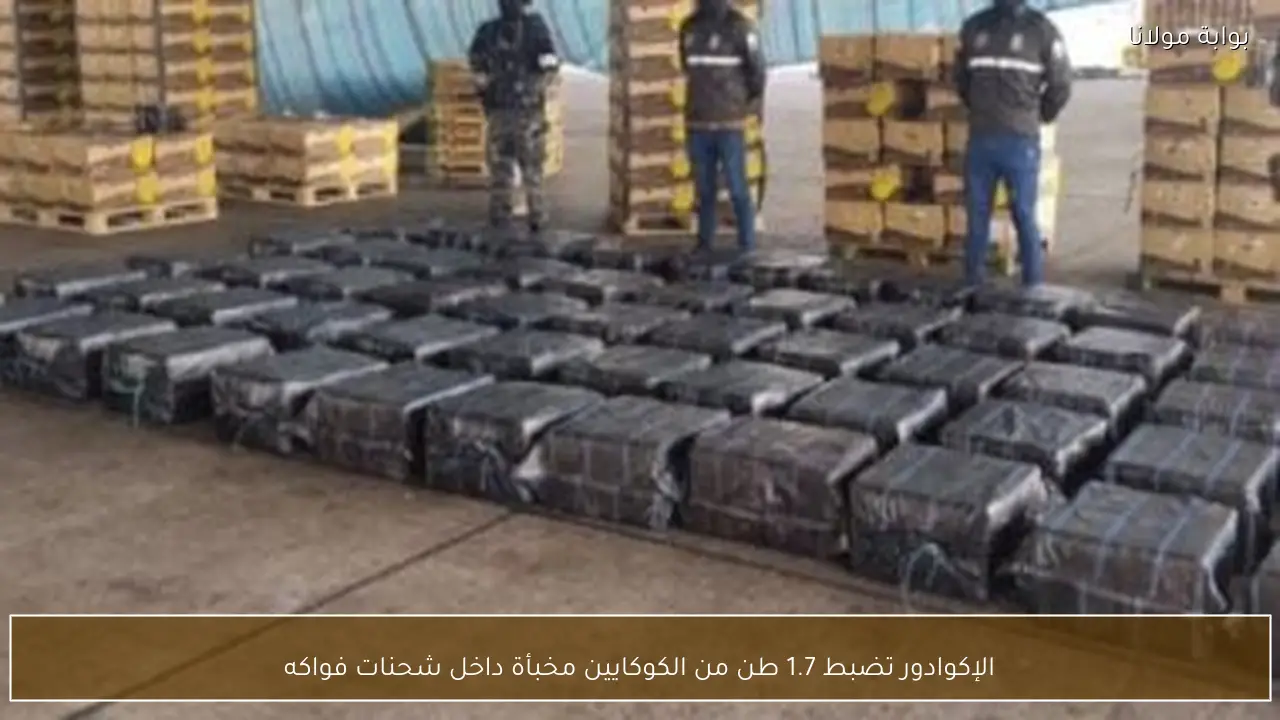 الإكوادور تضبط 1.7 طن من الكوكايين مخبأة داخل شحنات فواكه