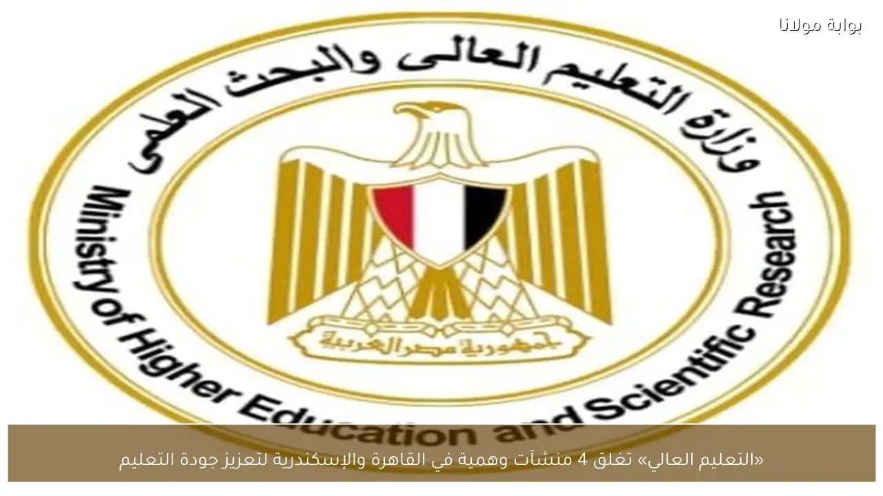 «التعليم العالي» تغلق 4 منشآت وهمية في القاهرة والإسكندرية لتعزيز جودة التعليم