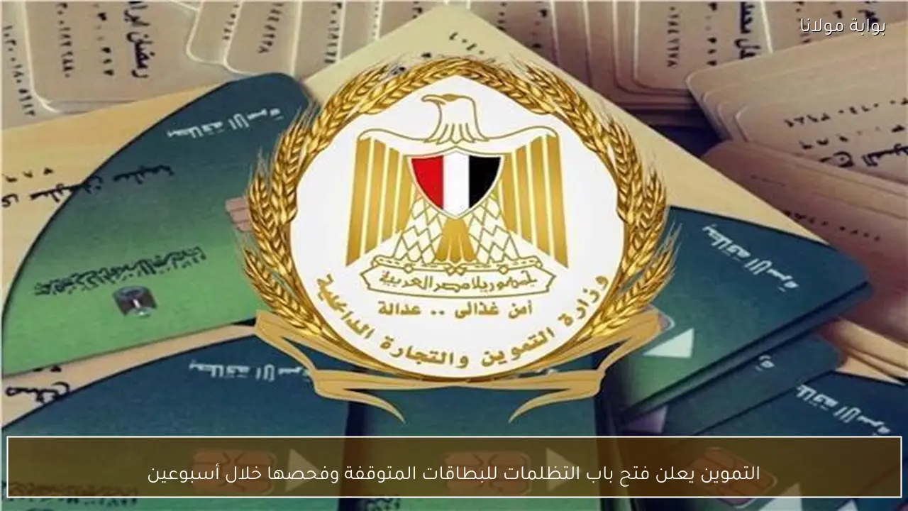 التموين يعلن فتح باب التظلمات للبطاقات المتوقفة وفحصها خلال أسبوعين