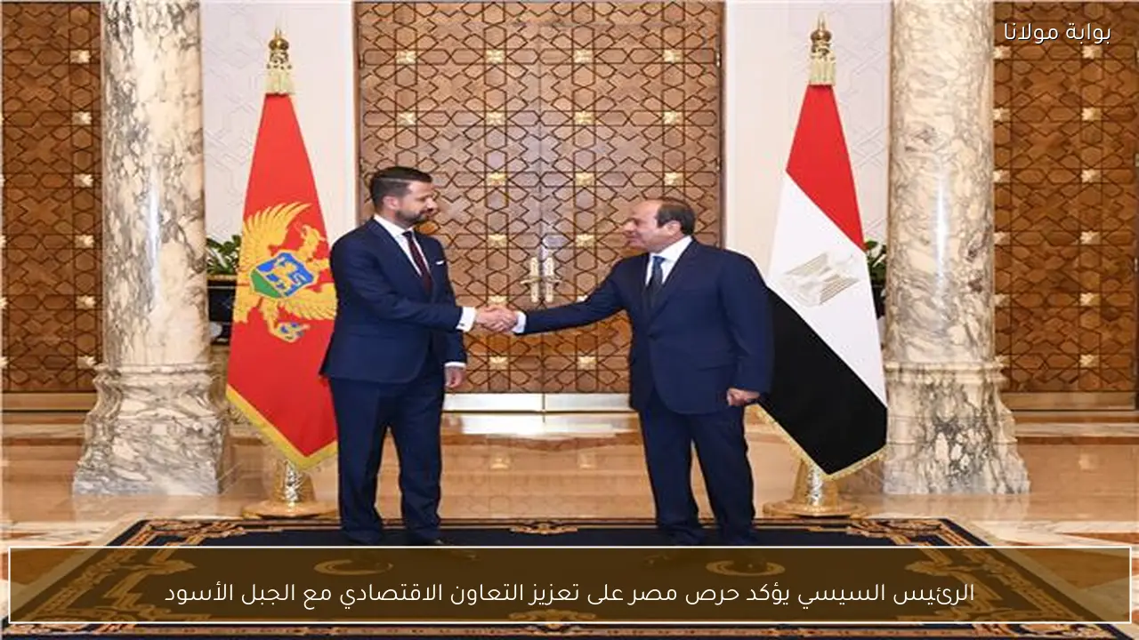 الرئيس السيسي يؤكد حرص مصر على تعزيز التعاون الاقتصادي مع الجبل الأسود