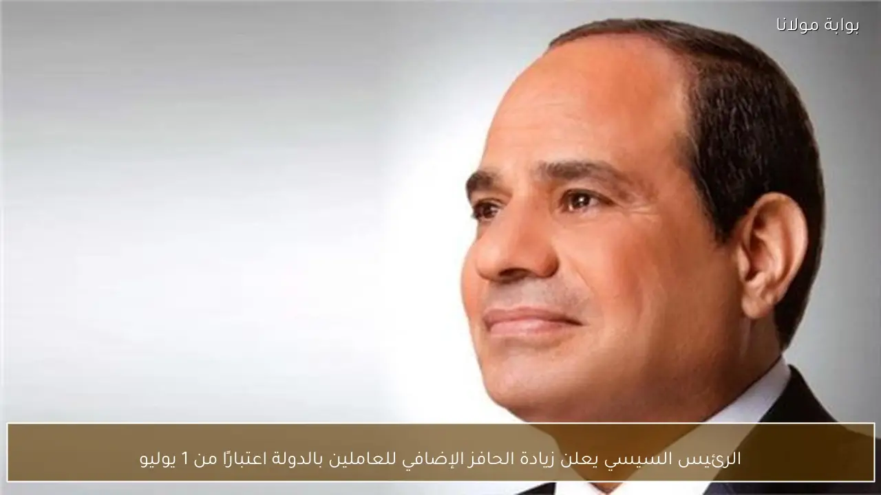 الرئيس السيسي يعلن زيادة الحافز الإضافي للعاملين بالدولة اعتبارًا من 1 يوليو