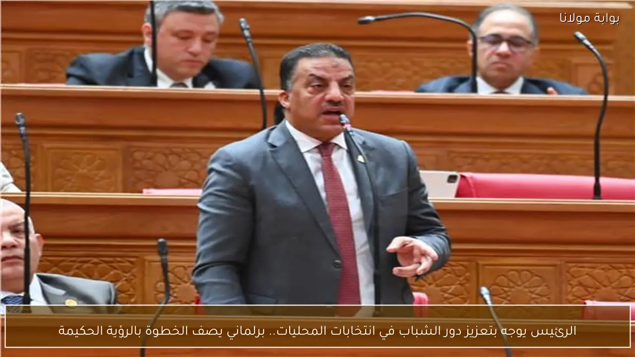 الرئيس يوجه بتعزيز دور الشباب في انتخابات المحليات.. برلماني يصف الخطوة بالرؤية الحكيمة