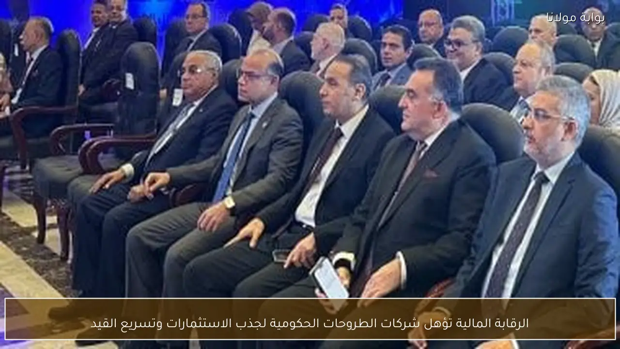 الرقابة المالية تؤهل شركات الطروحات الحكومية لجذب الاستثمارات وتسريع القيد