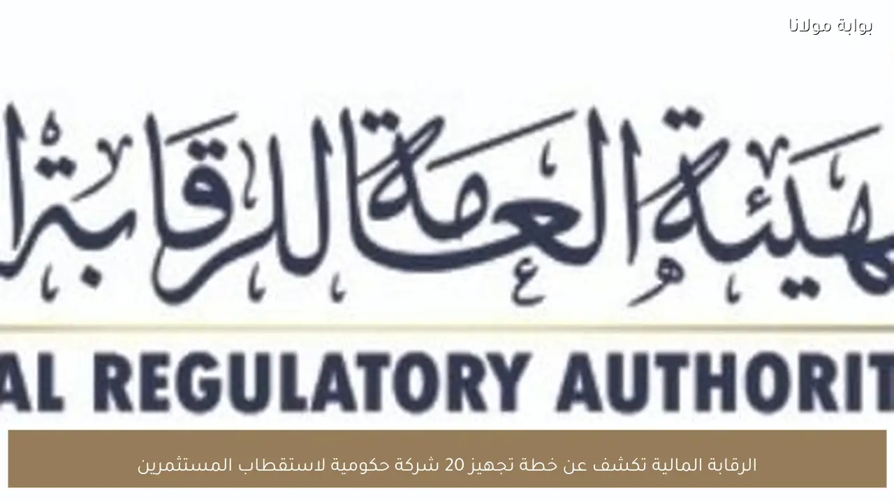الرقابة المالية تكشف عن خطة تجهيز 20 شركة حكومية لاستقطاب المستثمرين