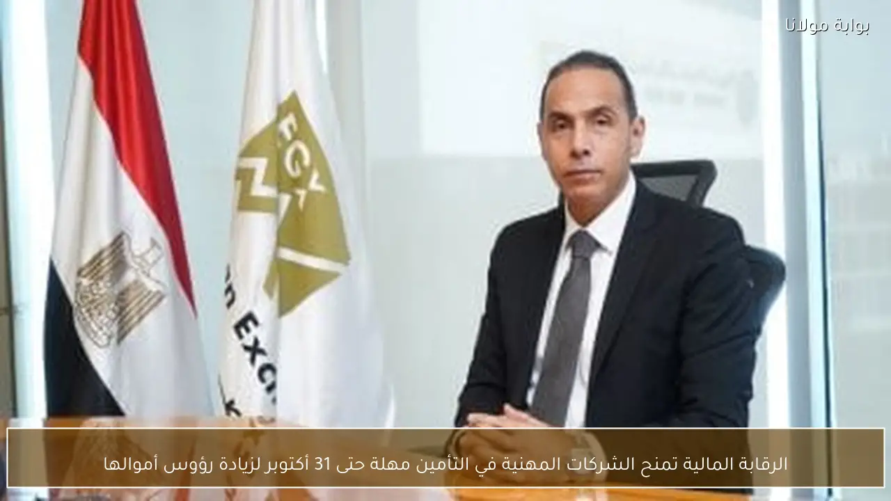 الرقابة المالية تمنح الشركات المهنية في التأمين مهلة حتى 31 أكتوبر لزيادة رؤوس أموالها