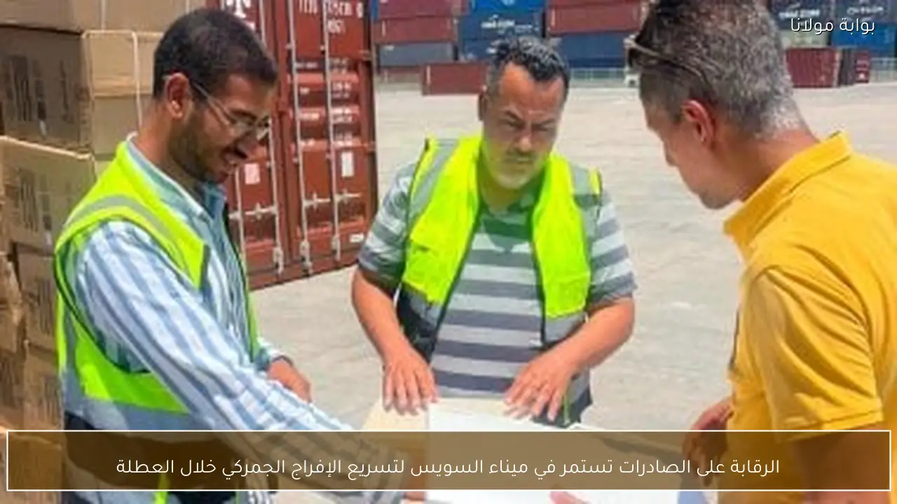 الرقابة على الصادرات تستمر في ميناء السويس لتسريع الإفراج الجمركي خلال العطلة