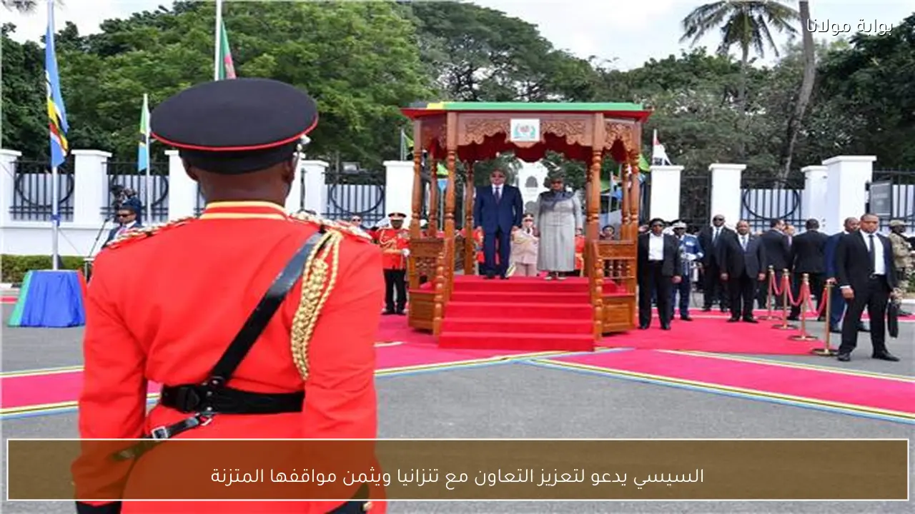 السيسي يدعو لتعزيز التعاون مع تنزانيا ويثمن مواقفها المتزنة