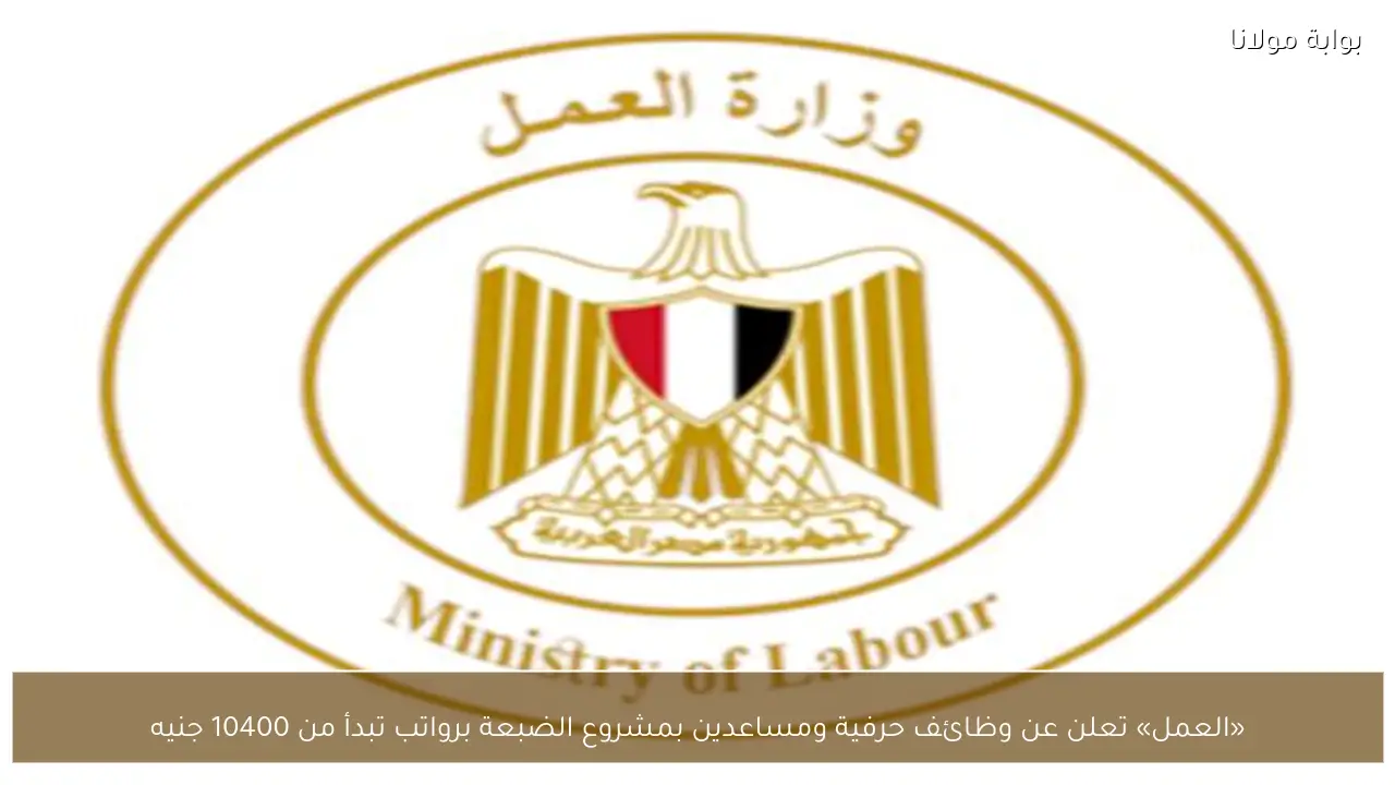 «العمل» تعلن عن وظائف حرفية ومساعدين بمشروع الضبعة برواتب تبدأ من 10400 جنيه