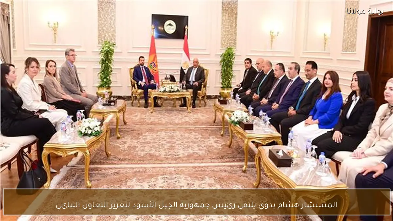 المستشار هشام بدوي يلتقي رئيس جمهورية الجبل الأسود لتعزيز التعاون الثنائي