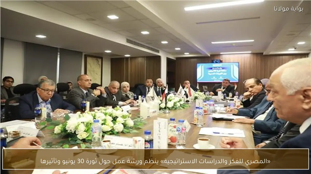 «المصري للفكر والدراسات الاستراتيجية» ينظم ورشة عمل حول ثورة 30 يونيو وتأثيرها