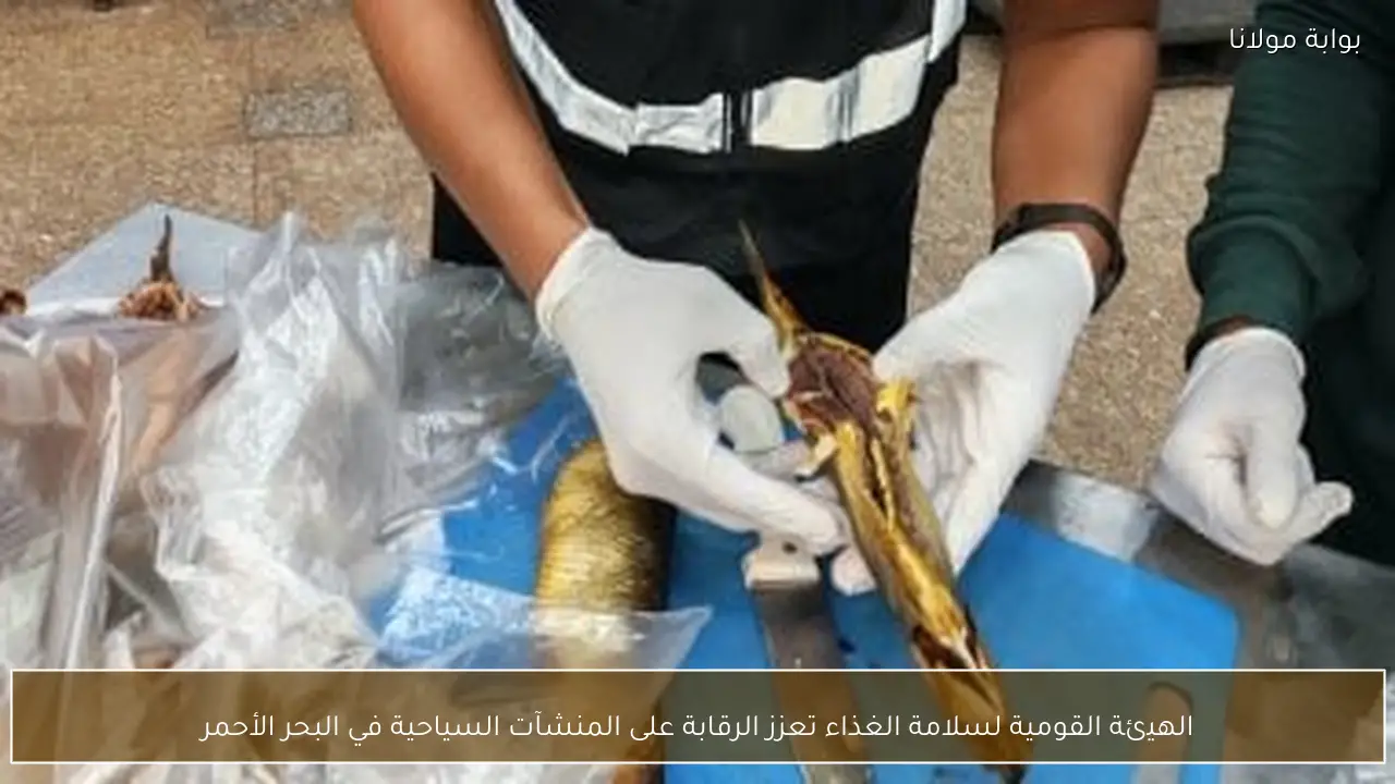 الهيئة القومية لسلامة الغذاء تعزز الرقابة على المنشآت السياحية في البحر الأحمر