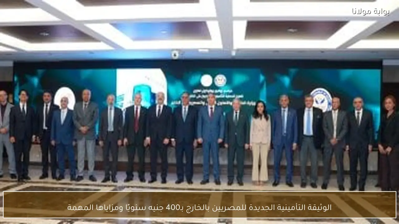 الوثيقة التأمينية الجديدة للمصريين بالخارج بـ400 جنيه سنويًا ومزاياها المهمة