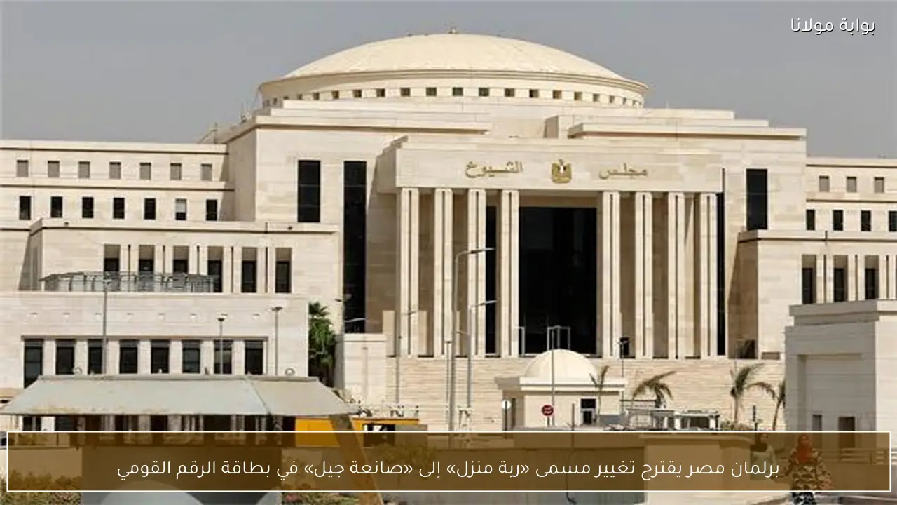 برلمان مصر يقترح تغيير مسمى «ربة منزل» إلى «صانعة جيل» في بطاقة الرقم القومي