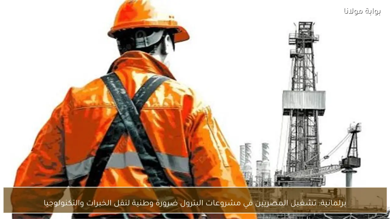 برلمانية: تشغيل المصريين في مشروعات البترول ضرورة وطنية لنقل الخبرات والتكنولوجيا