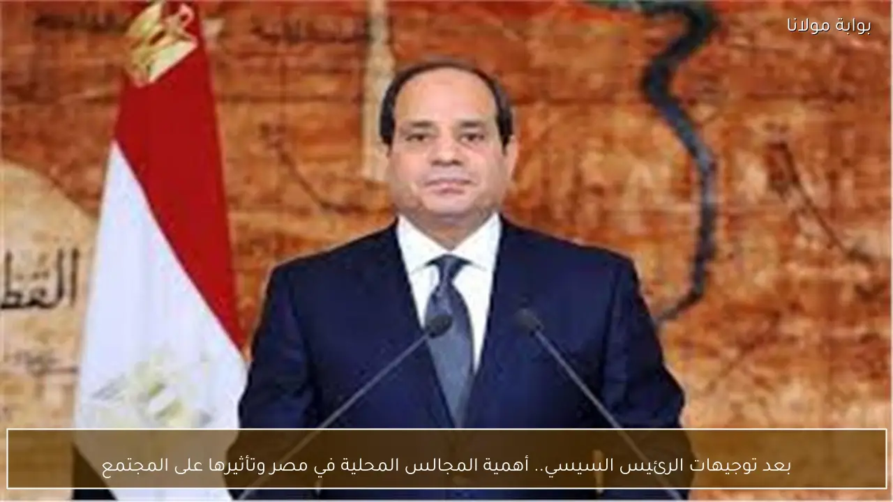بعد توجيهات الرئيس السيسي.. أهمية المجالس المحلية في مصر وتأثيرها على المجتمع