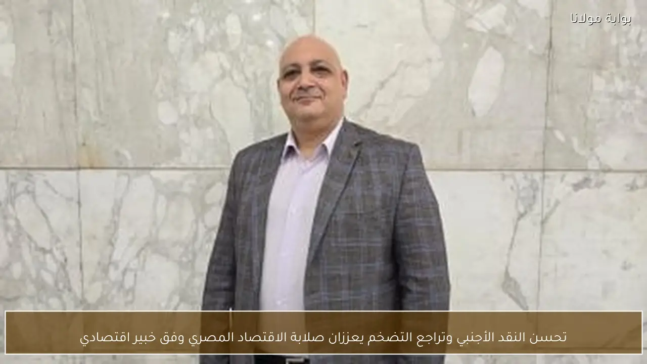 تحسن النقد الأجنبي وتراجع التضخم يعززان صلابة الاقتصاد المصري وفق خبير اقتصادي