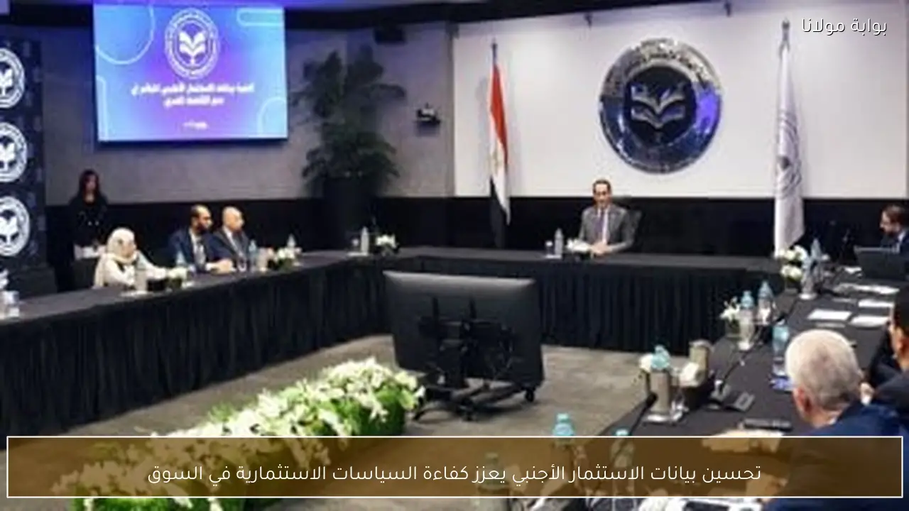 تحسين بيانات الاستثمار الأجنبي يعزز كفاءة السياسات الاستثمارية في السوق