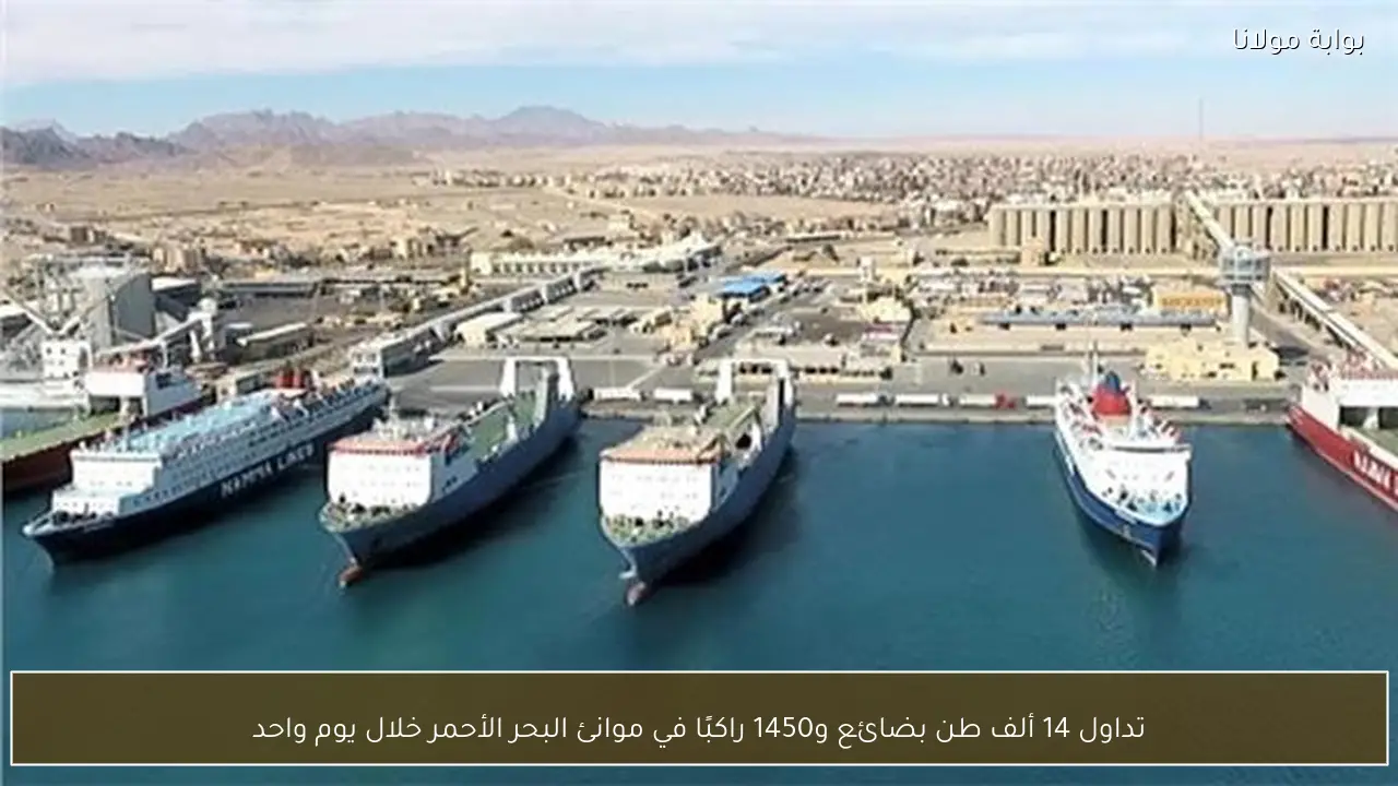 تداول 14 ألف طن بضائع و1450 راكبًا في موانئ البحر الأحمر خلال يوم واحد