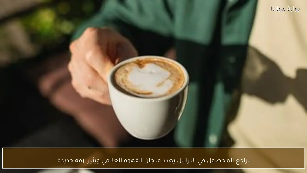 تراجع المحصول في البرازيل يهدد فنجان القهوة العالمي ويثير أزمة جديدة