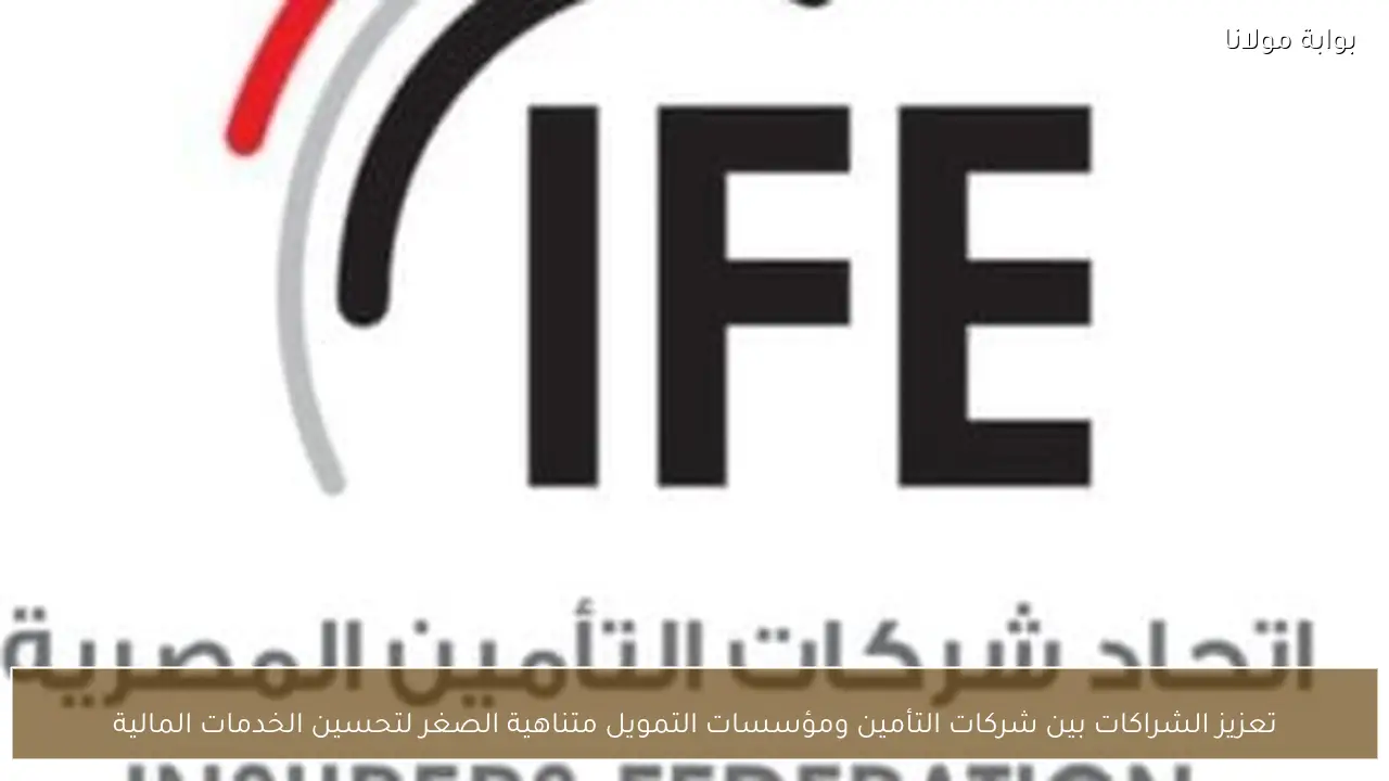 تعزيز الشراكات بين شركات التأمين ومؤسسات التمويل متناهية الصغر لتحسين الخدمات المالية