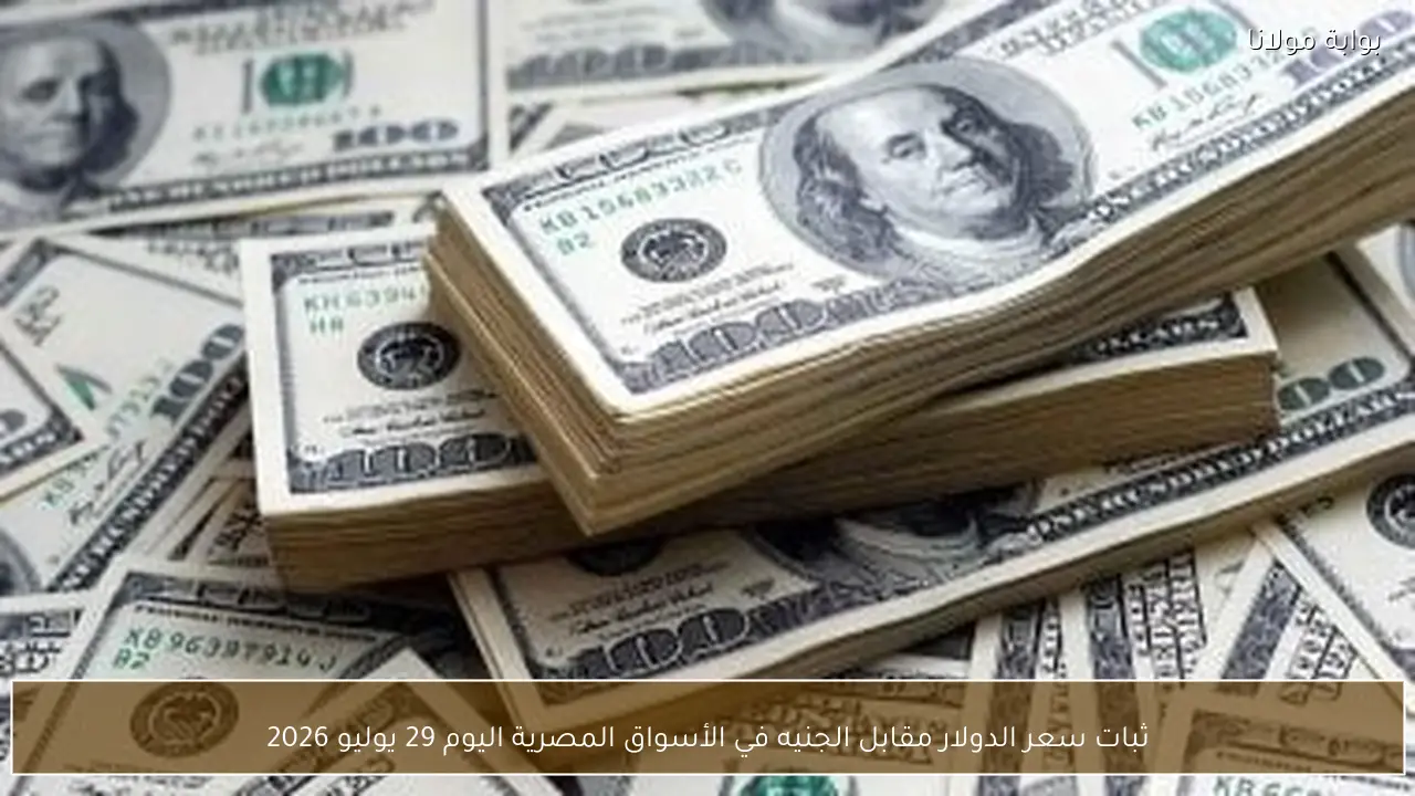 ثبات سعر الدولار مقابل الجنيه في الأسواق المصرية اليوم 29 يوليو 2026