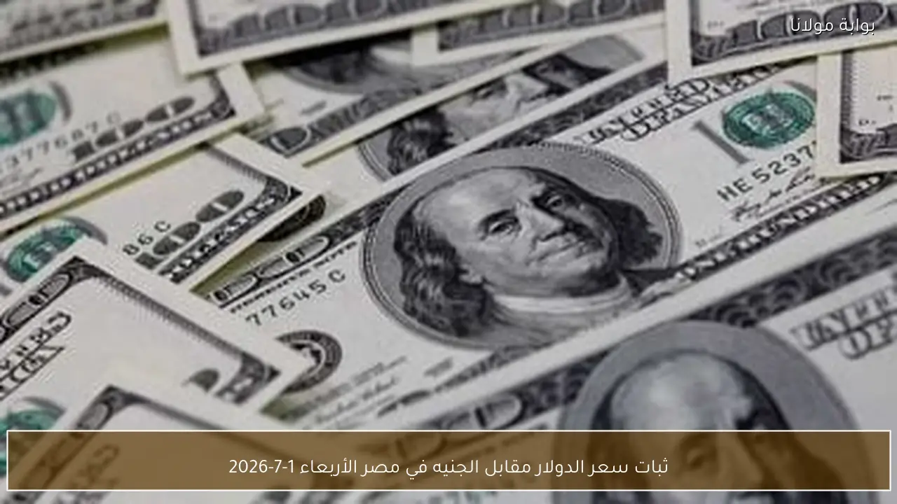 ثبات سعر الدولار مقابل الجنيه في مصر الأربعاء 1-7-2026