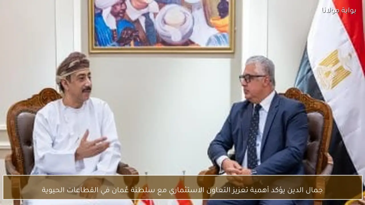 جمال الدين يؤكد أهمية تعزيز التعاون الاستثماري مع سلطنة عُمان في القطاعات الحيوية