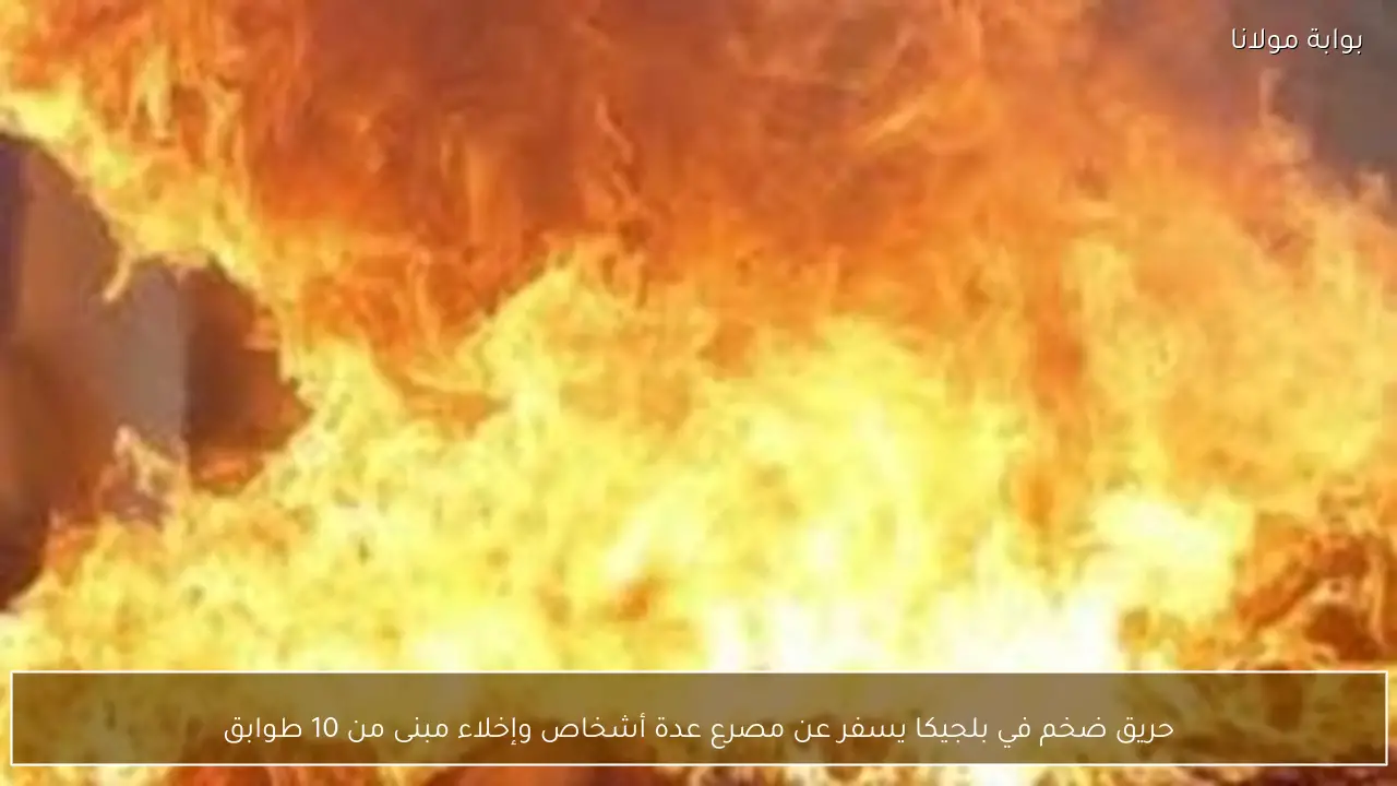 حريق ضخم في بلجيكا يسفر عن مصرع عدة أشخاص وإخلاء مبنى من 10 طوابق