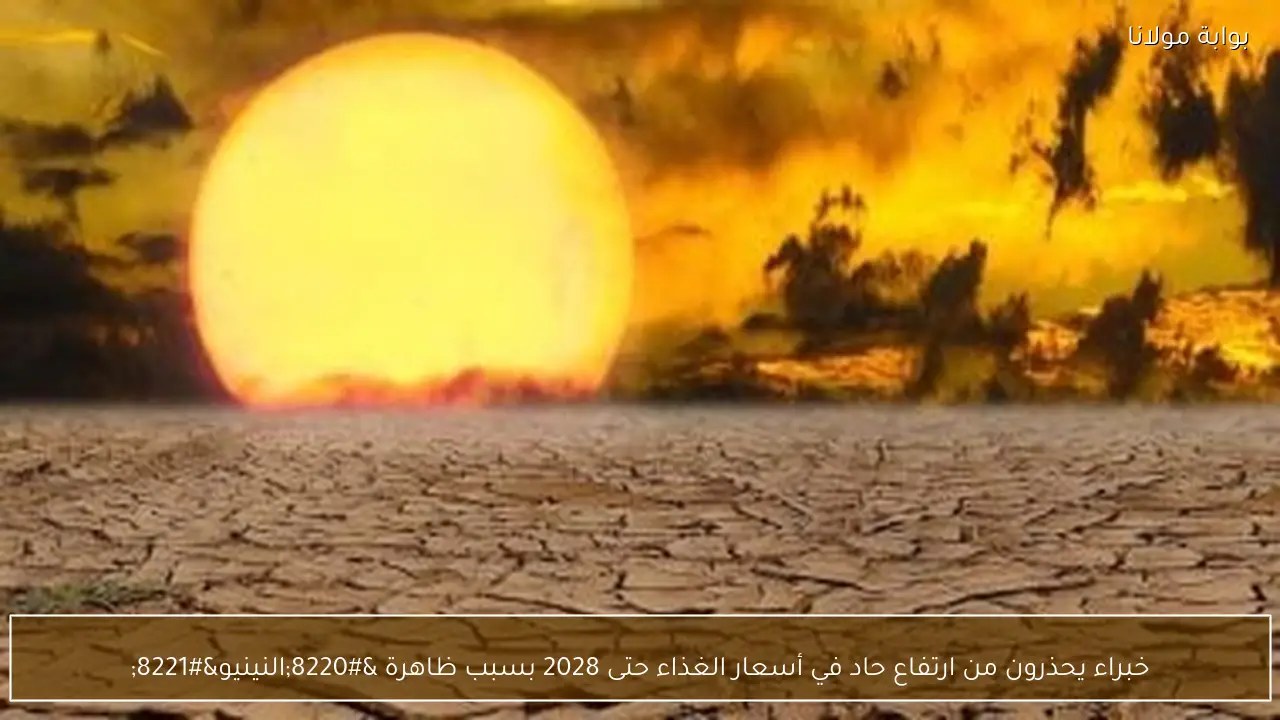 خبراء يحذرون من ارتفاع حاد في أسعار الغذاء حتى 2028 بسبب ظاهرة “النينيو”