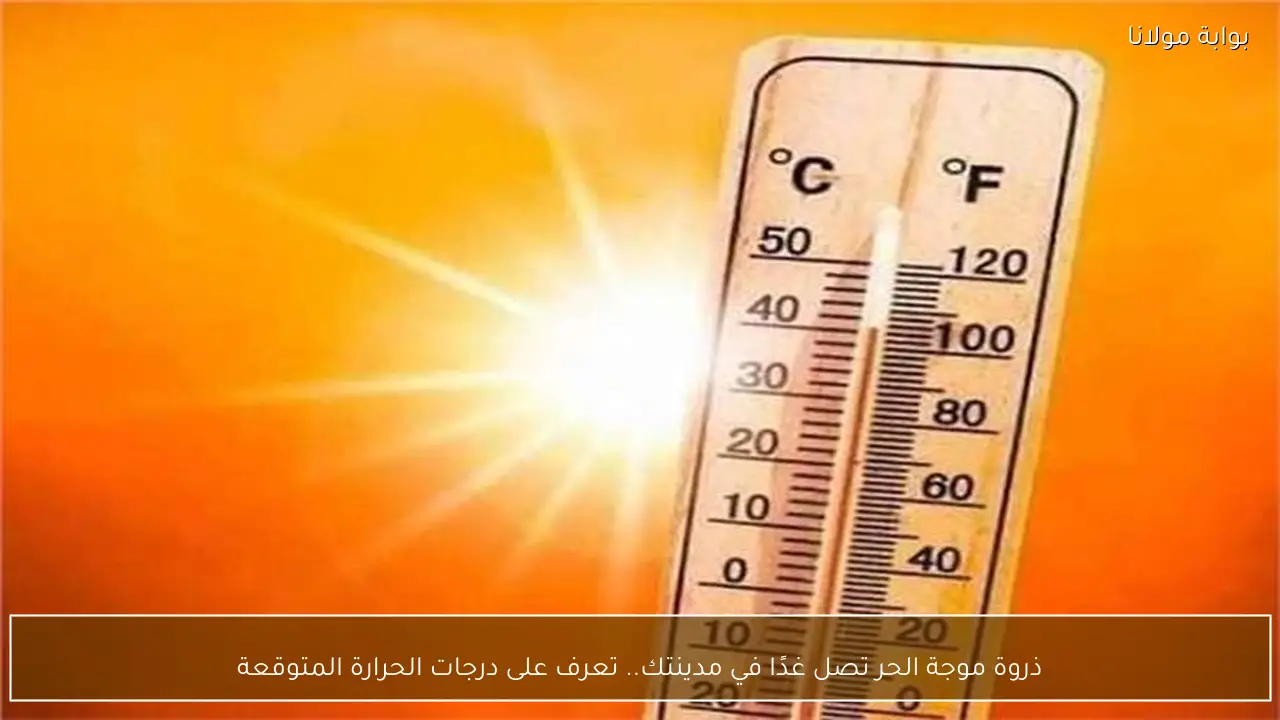 ذروة موجة الحر تصل غدًا في مدينتك.. تعرف على درجات الحرارة المتوقعة