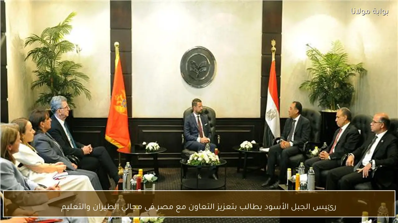 رئيس الجبل الأسود يطالب بتعزيز التعاون مع مصر في مجالي الطيران والتعليم
