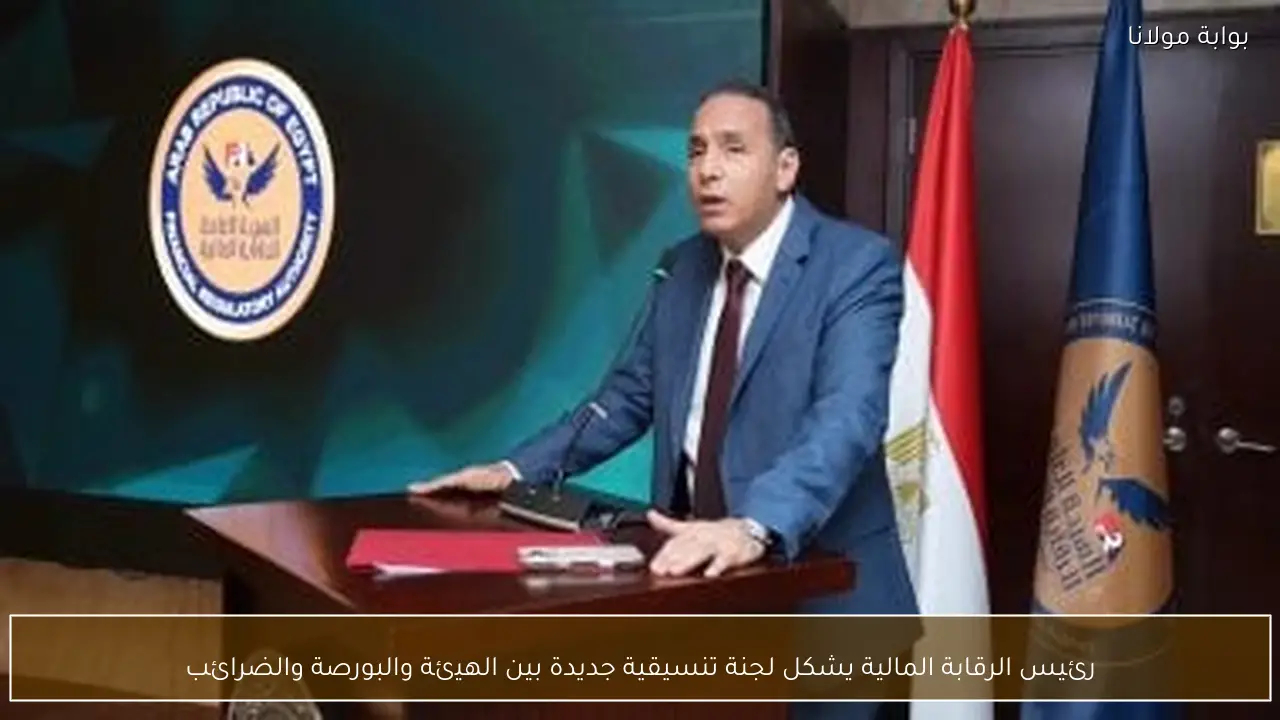 رئيس الرقابة المالية يشكل لجنة تنسيقية جديدة بين الهيئة والبورصة والضرائب