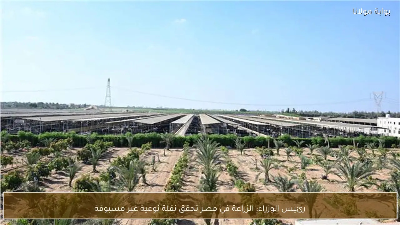 رئيس الوزراء: الزراعة في مصر تحقق نقلة نوعية غير مسبوقة