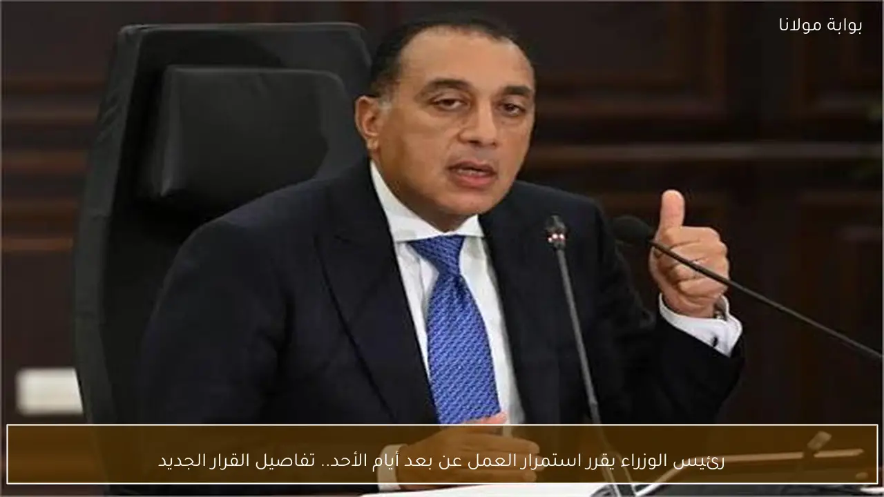 رئيس الوزراء يقرر استمرار العمل عن بعد أيام الأحد.. تفاصيل القرار الجديد