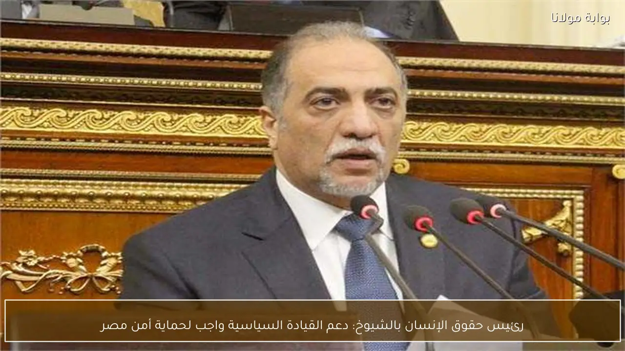 رئيس حقوق الإنسان بالشيوخ: دعم القيادة السياسية واجب لحماية أمن مصر