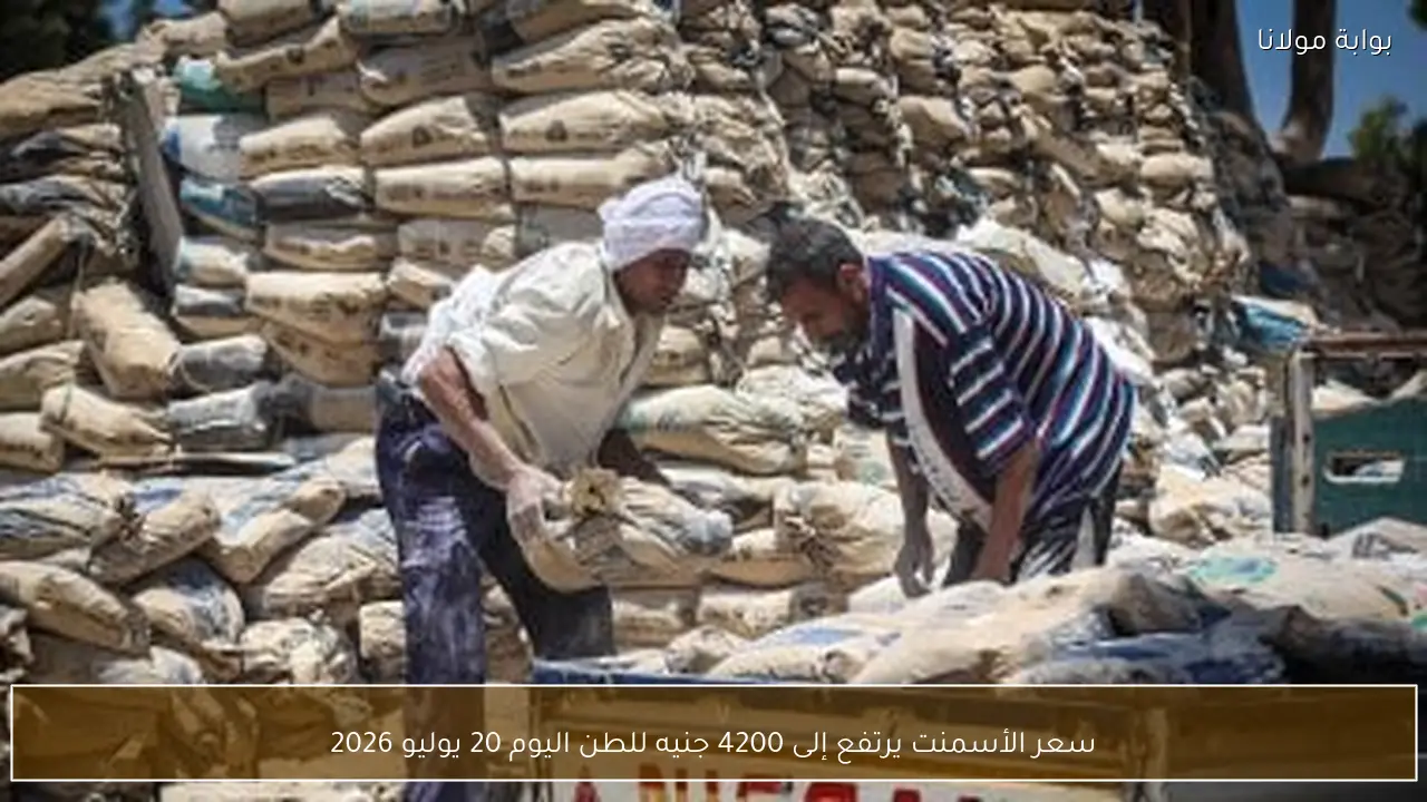 سعر الأسمنت يرتفع إلى 4200 جنيه للطن اليوم 20 يوليو 2026