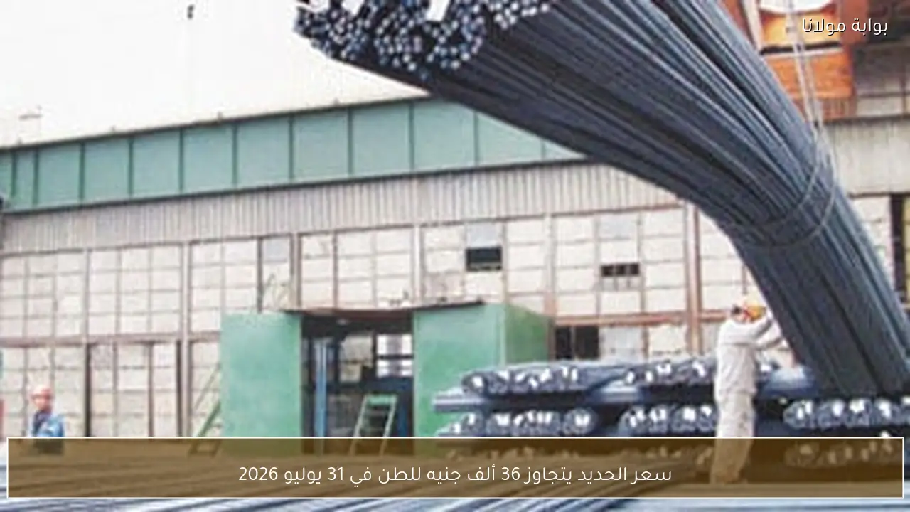 سعر الحديد يتجاوز 36 ألف جنيه للطن في 31 يوليو 2026
