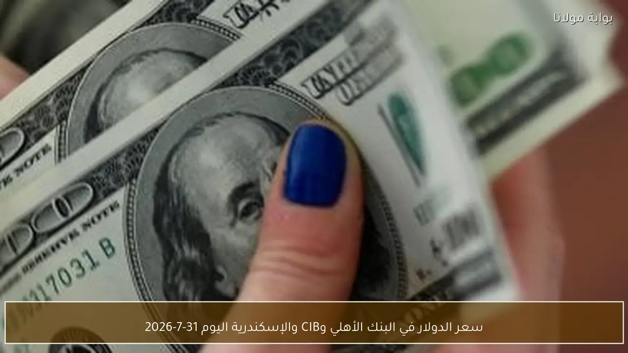 سعر الدولار في البنك الأهلي وCIB والإسكندرية اليوم 31-7-2026