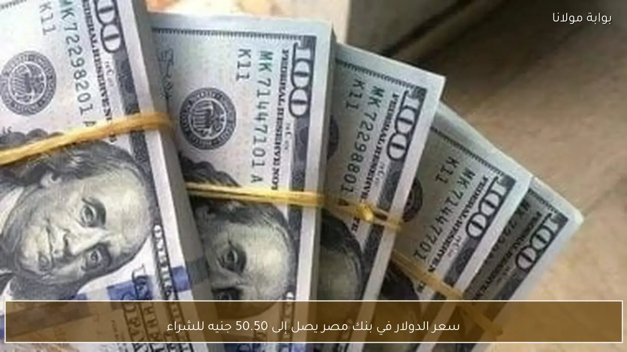 سعر الدولار في بنك مصر يصل إلى 50.50 جنيه للشراء