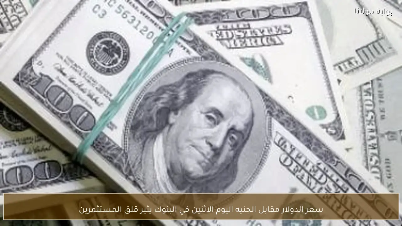 سعر الدولار مقابل الجنيه اليوم الاثنين في البنوك يثير قلق المستثمرين